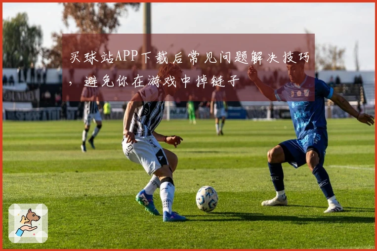 买球站APP下载后常见问题解决技巧，避免你在游戏中掉链子