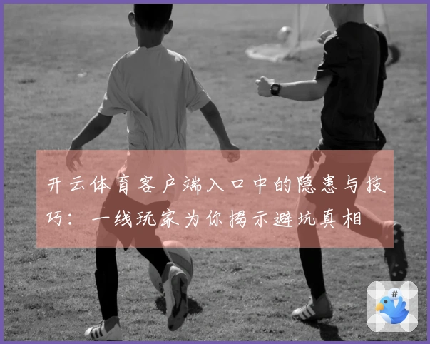 开云体育客户端入口中的隐患与技巧：一线玩家为你揭示避坑真相