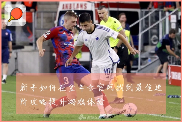 新手如何在金年会官网找到最佳进阶攻略提升游戏体验