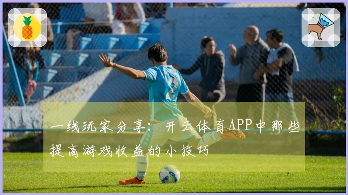 一线玩家分享：开云体育APP中那些提高游戏收益的小技巧