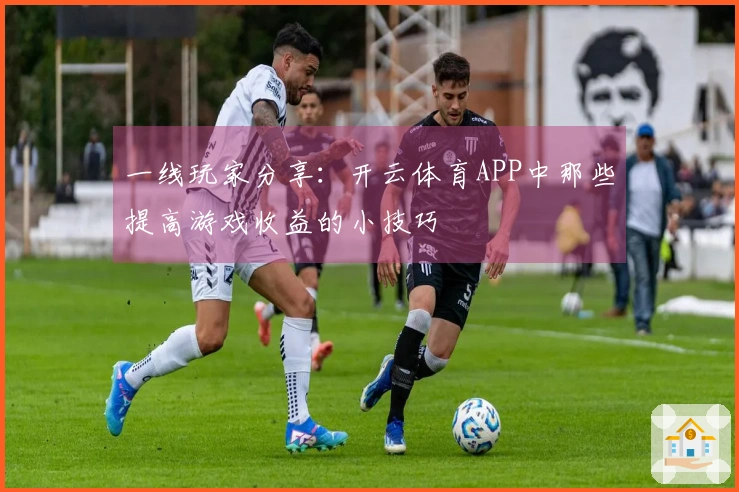 一线玩家分享：开云体育APP中那些提高游戏收益的小技巧
