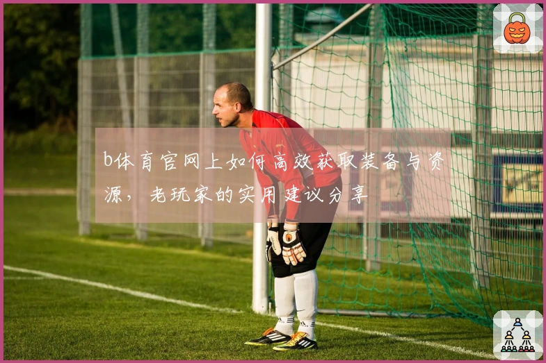 b体育官网上如何高效获取装备与资源，老玩家的实用建议分享