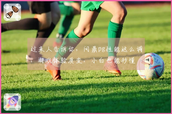 过来人告诉你，问鼎pg性能这么调，游戏体验质变，小白也能秒懂