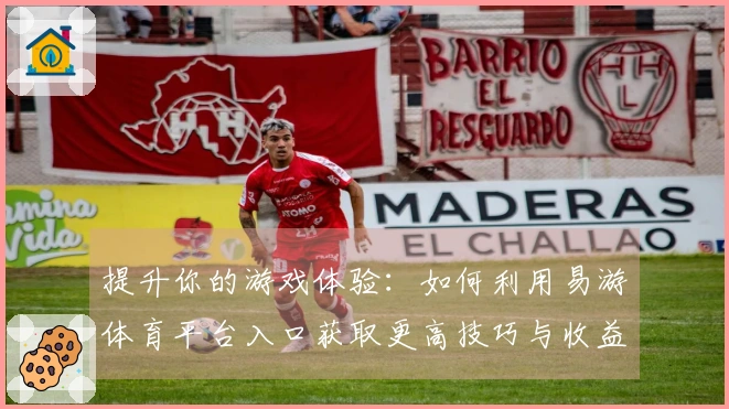 提升你的游戏体验：如何利用易游体育平台入口获取更高技巧与收益