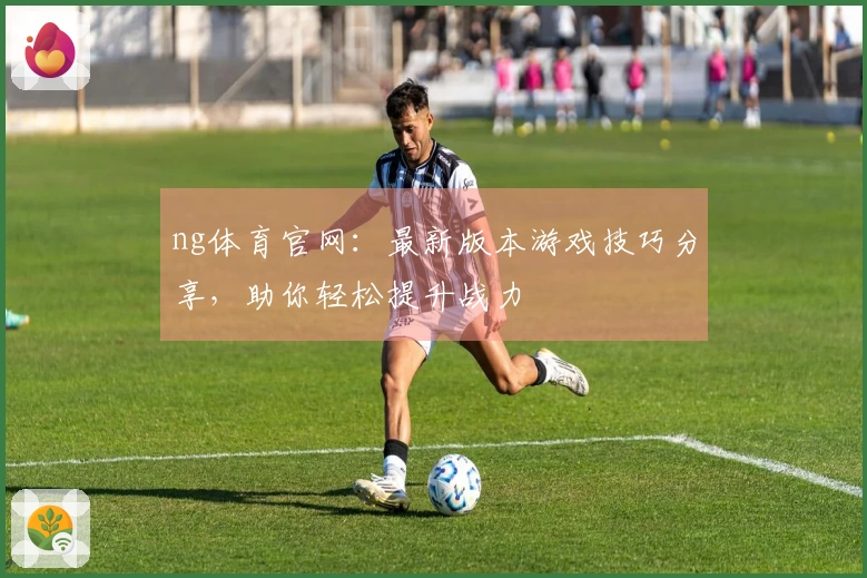 ng体育官网：最新版本游戏技巧分享，助你轻松提升战力